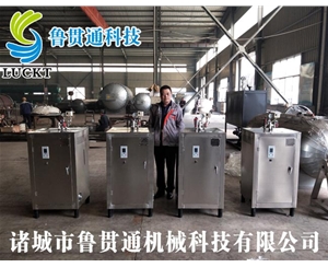 電蒸汽鍋爐 各種型號現貨供應，型號不同，功率不同，可適用于多種行業(yè)，歡迎來(lái)單咨詢(xún)