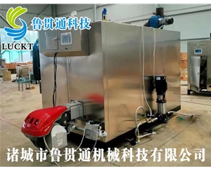 1噸燃氣（油）蒸汽發(fā)生器 現貨供應，工廠(chǎng)直銷(xiāo)，規格型號眾多，可來(lái)電咨詢(xún)